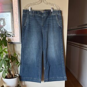 Torrid Denim Wide Leg Jeans